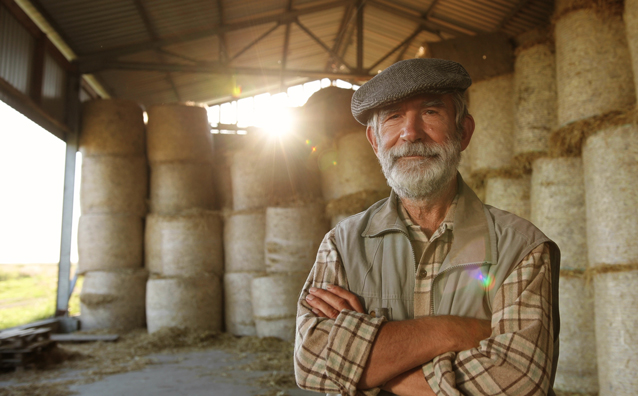 Bail rural en indivision : le congé pour retraite nécessite-t-il l’accord de tous les indivisaires ?