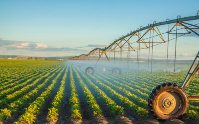 Vente de biens agricoles loués et non loués : la question du droit de préemption du fermier