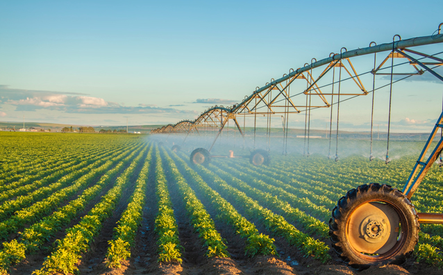 Vente de biens agricoles loués et non loués : la question du droit de préemption du fermier